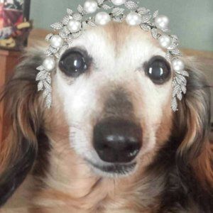 Meet your Posher, MJ